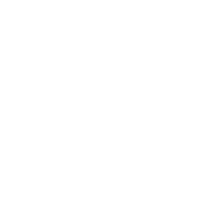 Lion Games